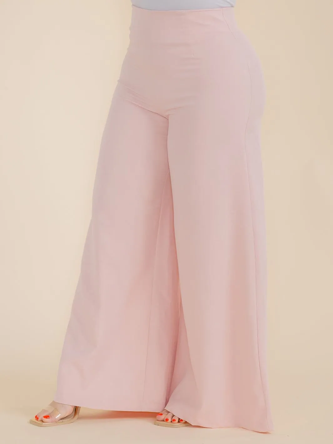 PLUS SIZE ZIPPER CLOSURE WIDE LEG PANTS